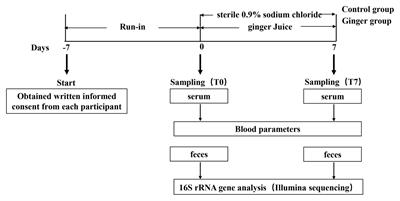 Gut Microbiota Variation With Short-Term Intake of Ginger Juice on Human Health